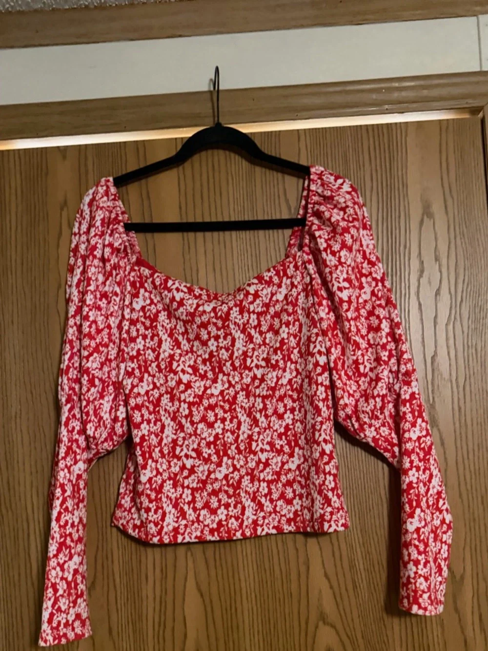 ANTHROPOLOGY CARMINE puff sleeve blouse size L