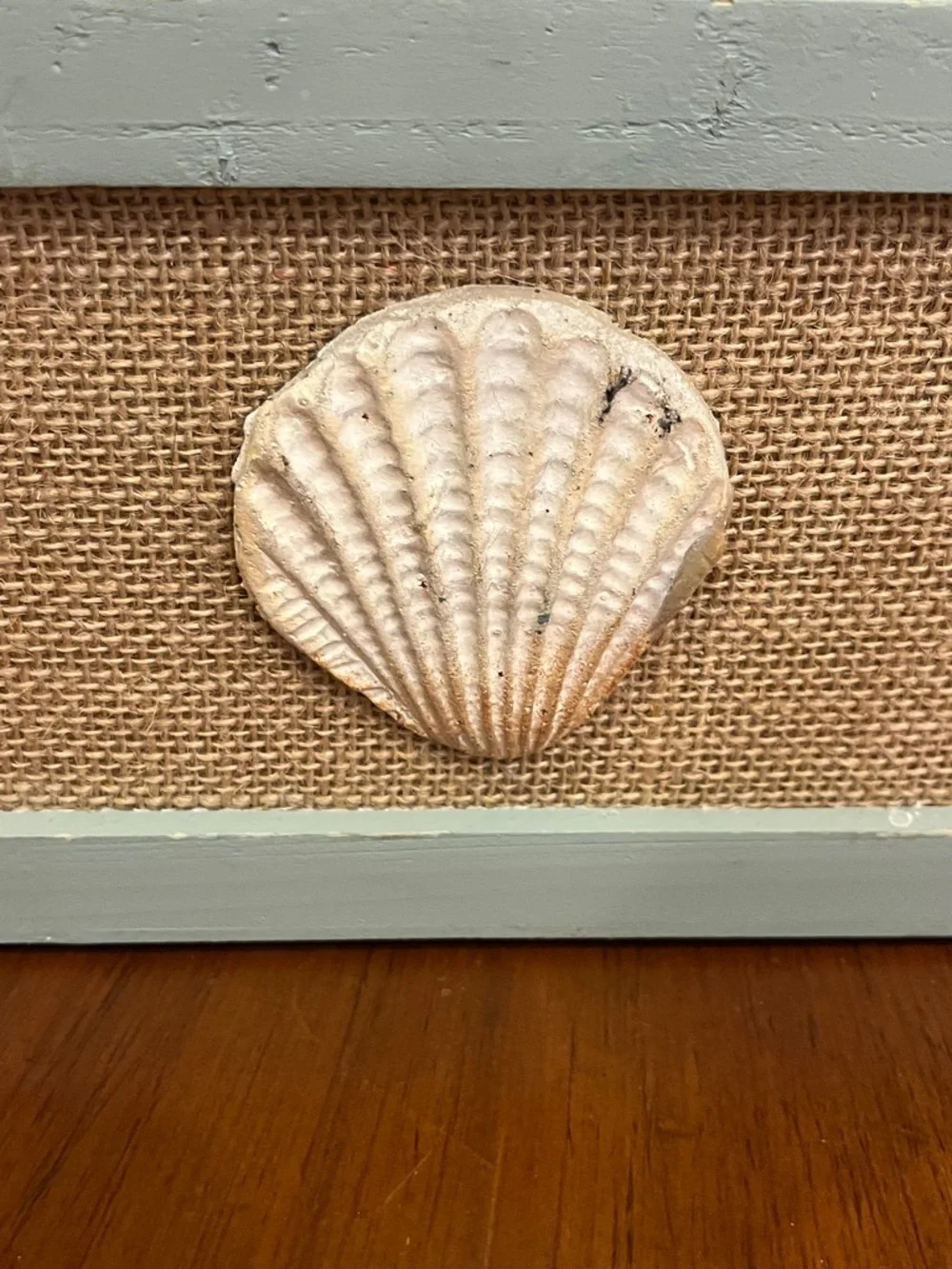 Nautical Sea Shell Decorative Box