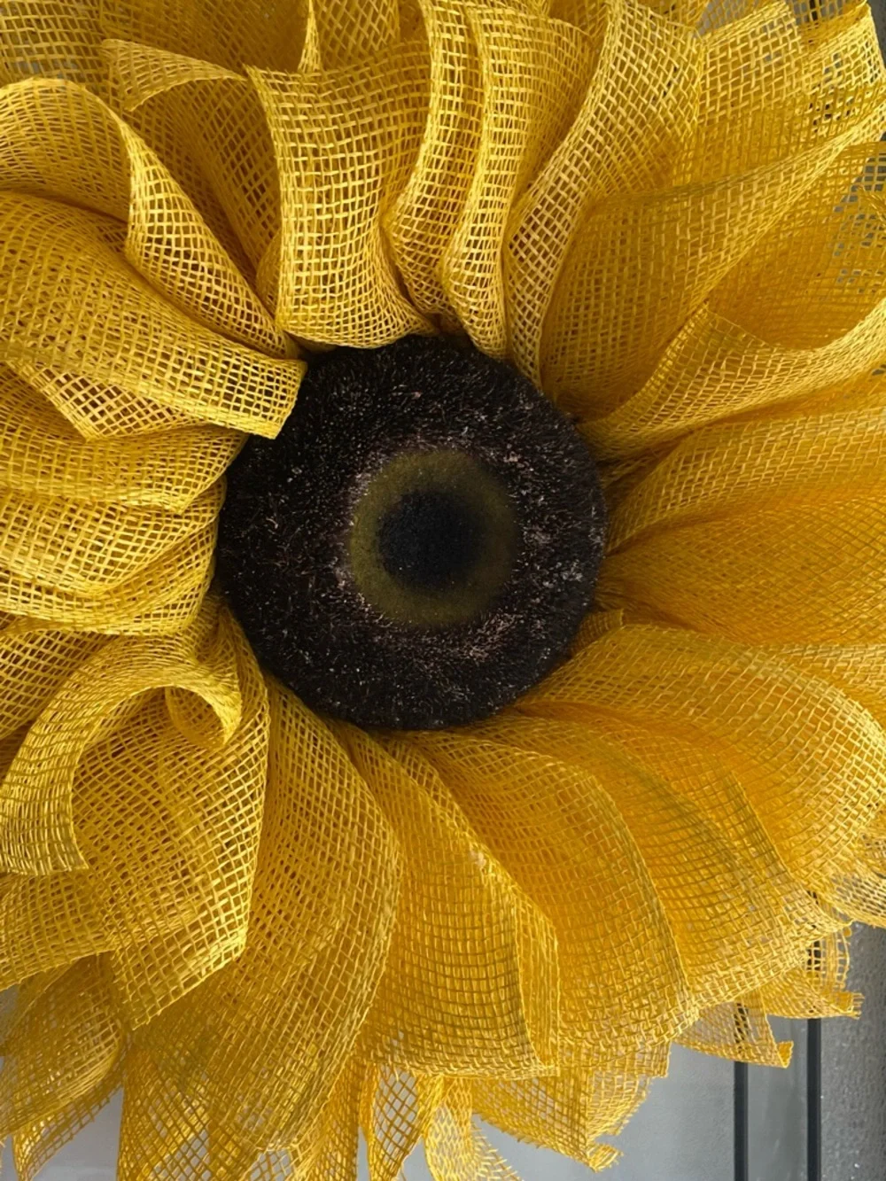 N/A sunflower spring