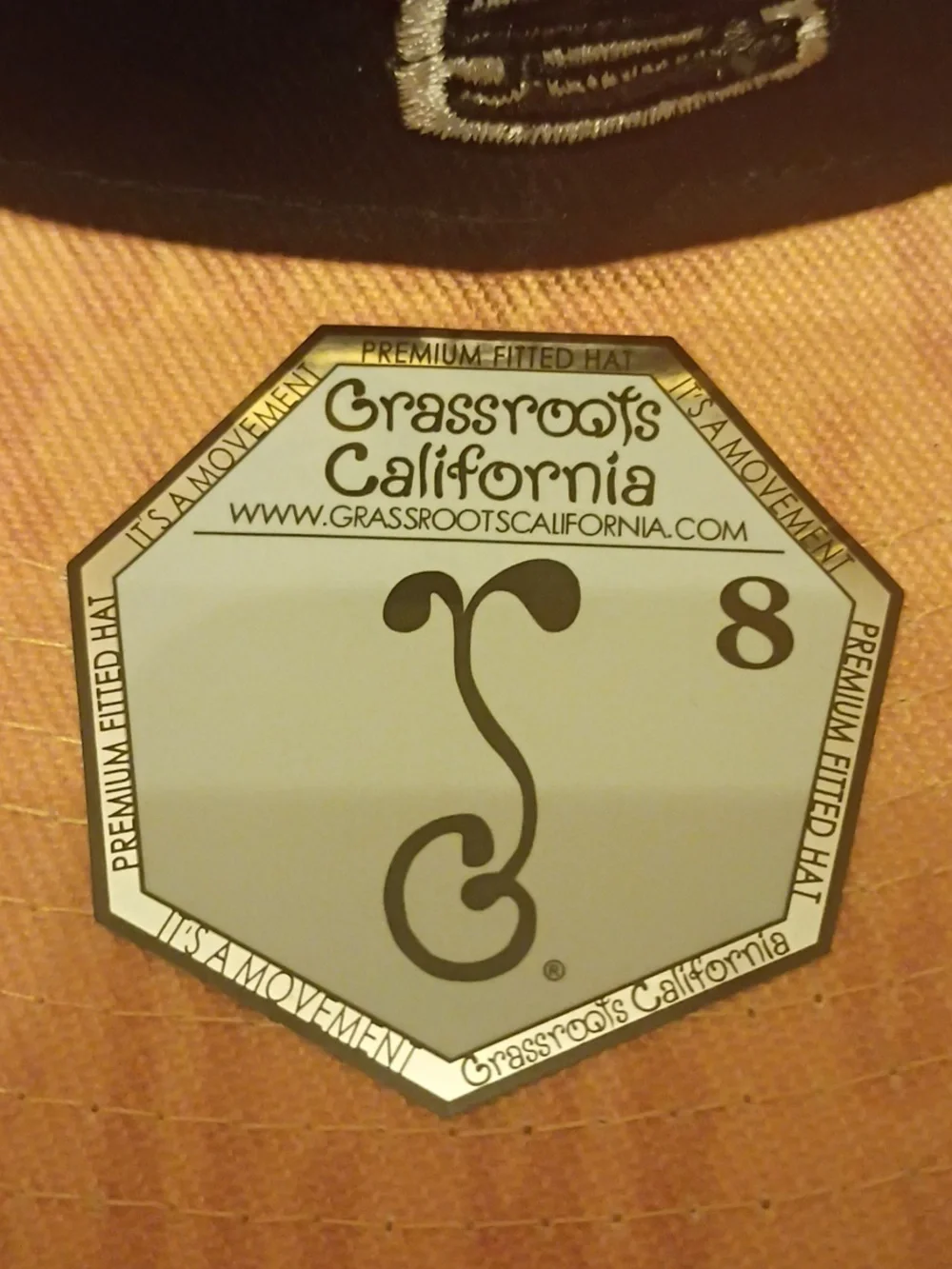 Grassroots California brim penguins edition
