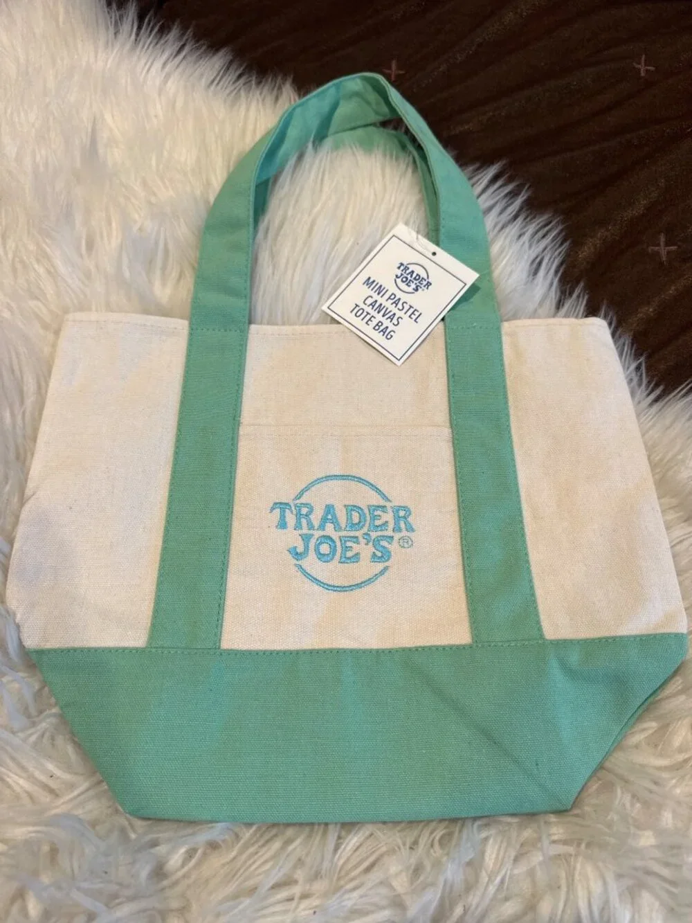 NWT Trader Joe’s Mini Pastel Canvas Tote Bag Mint Green Reusable 2035