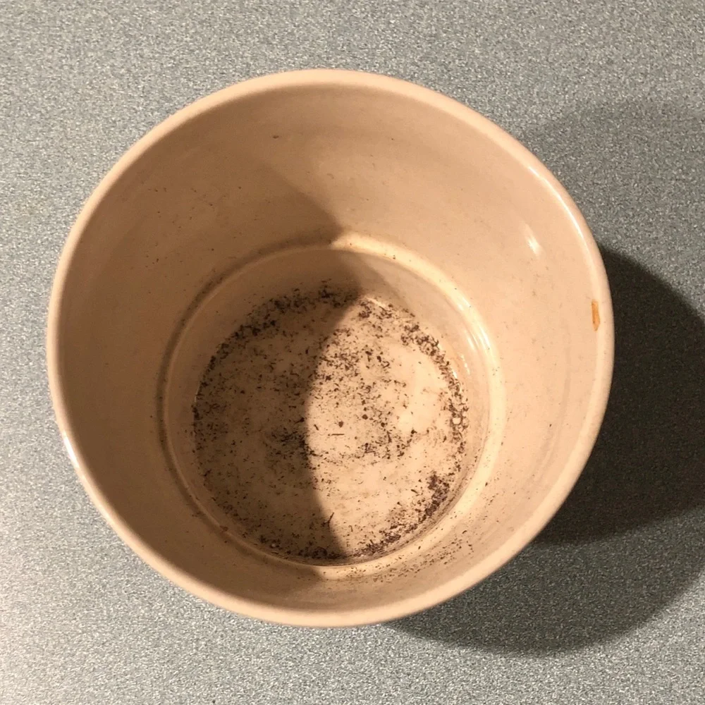 IKEA pot only