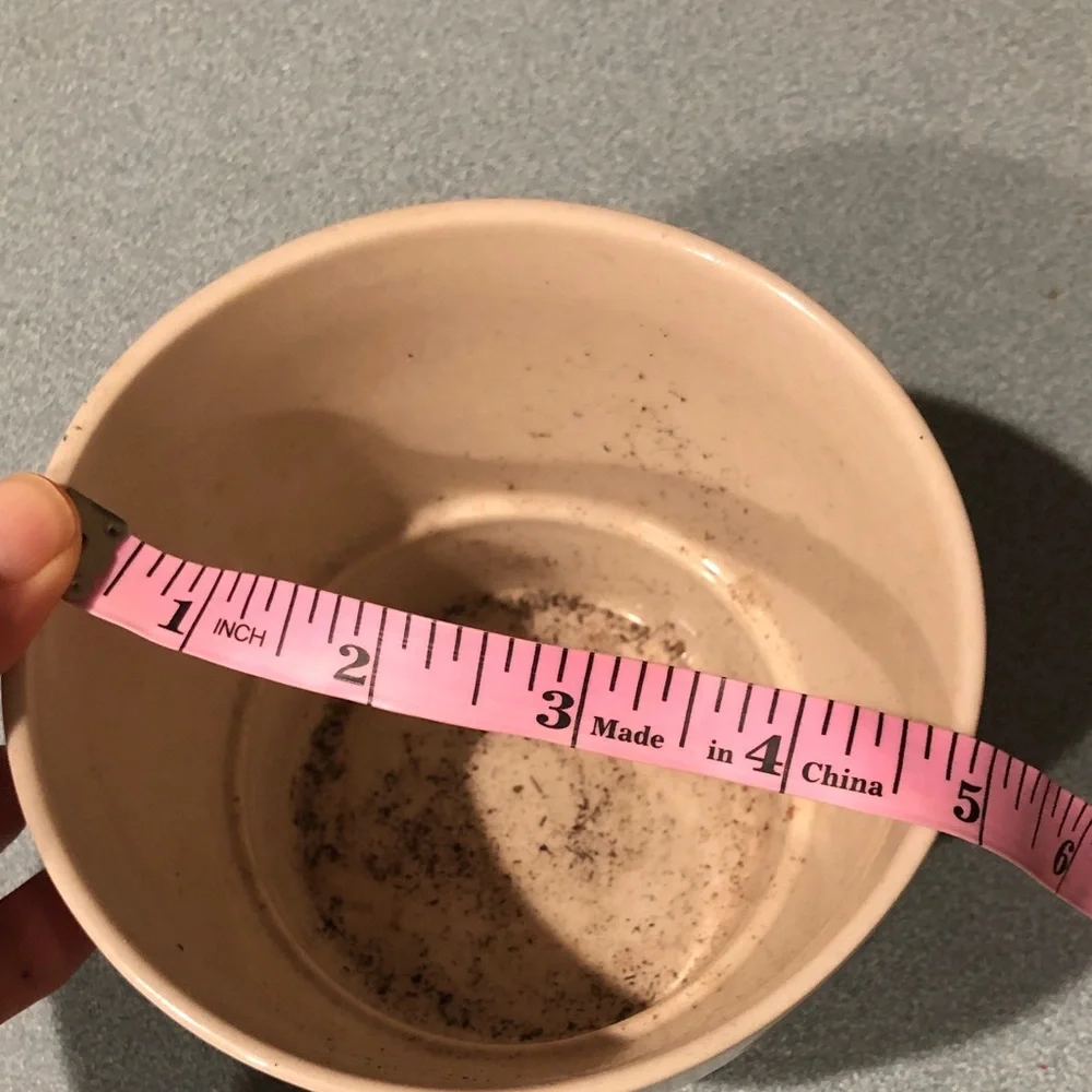 IKEA pot only