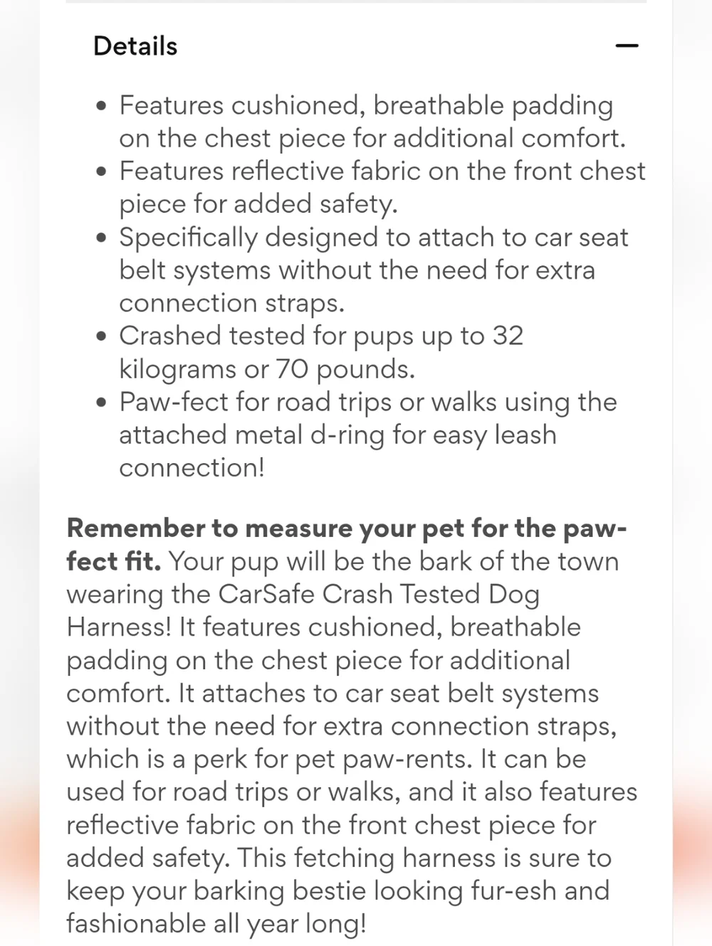 Car Safe size large