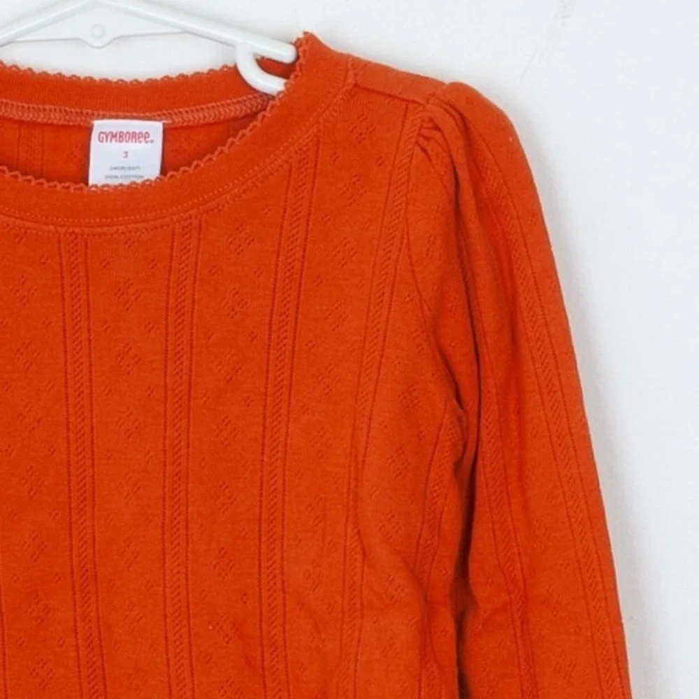Gymboree Girls Harvest Leaves Sweater Vest and Long Sleeve Shirt‎ Size 3 Holiday