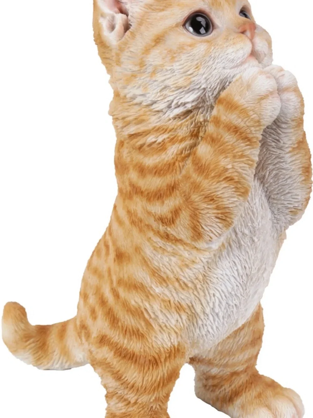 HLine cute orange