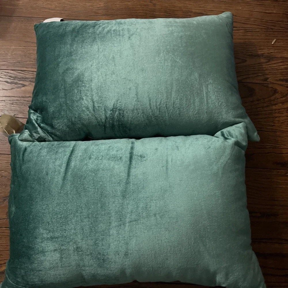 2 X Taj Mahal Decorative Throw Pillow 12x20