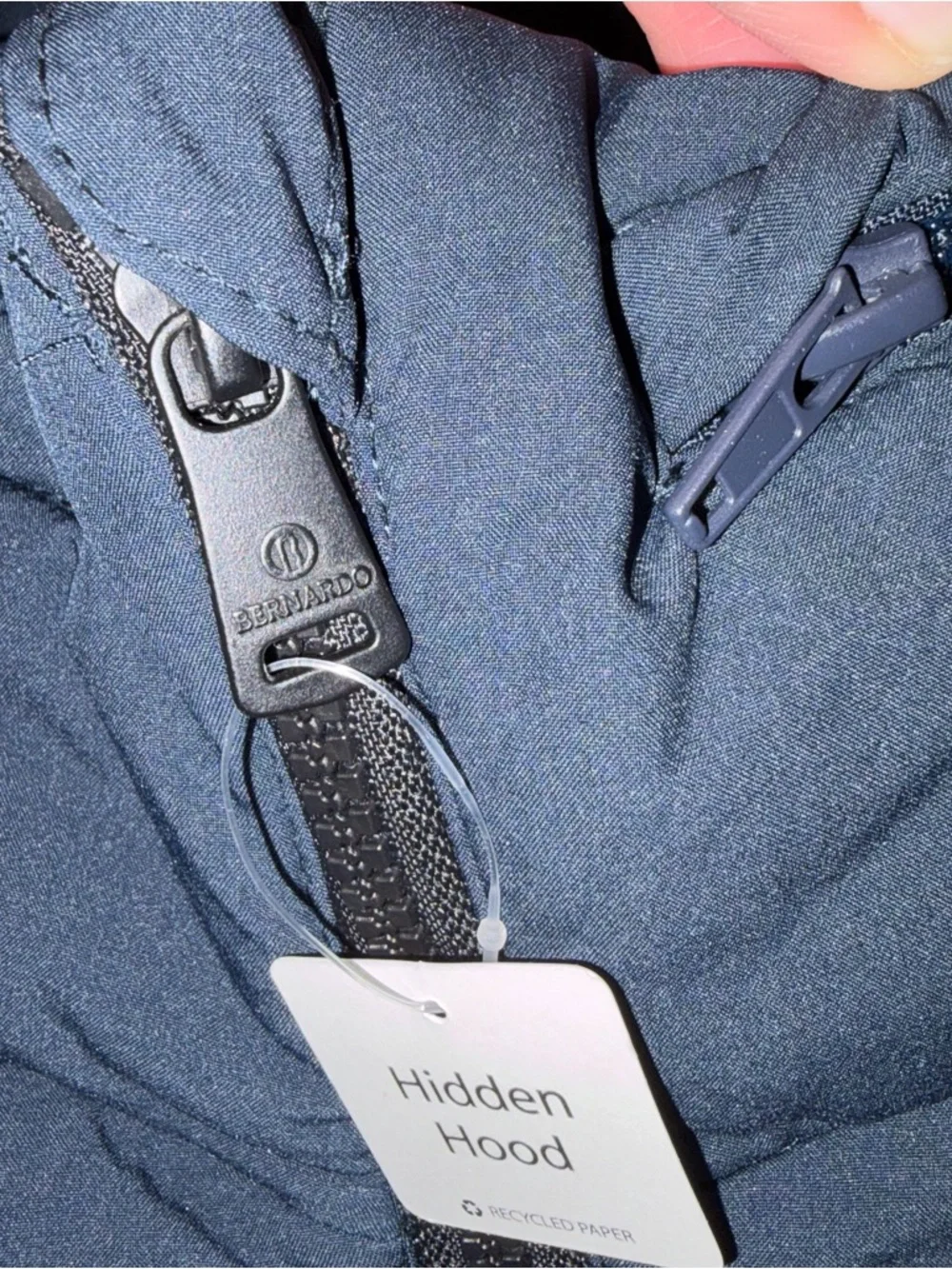 Bernardo new tags