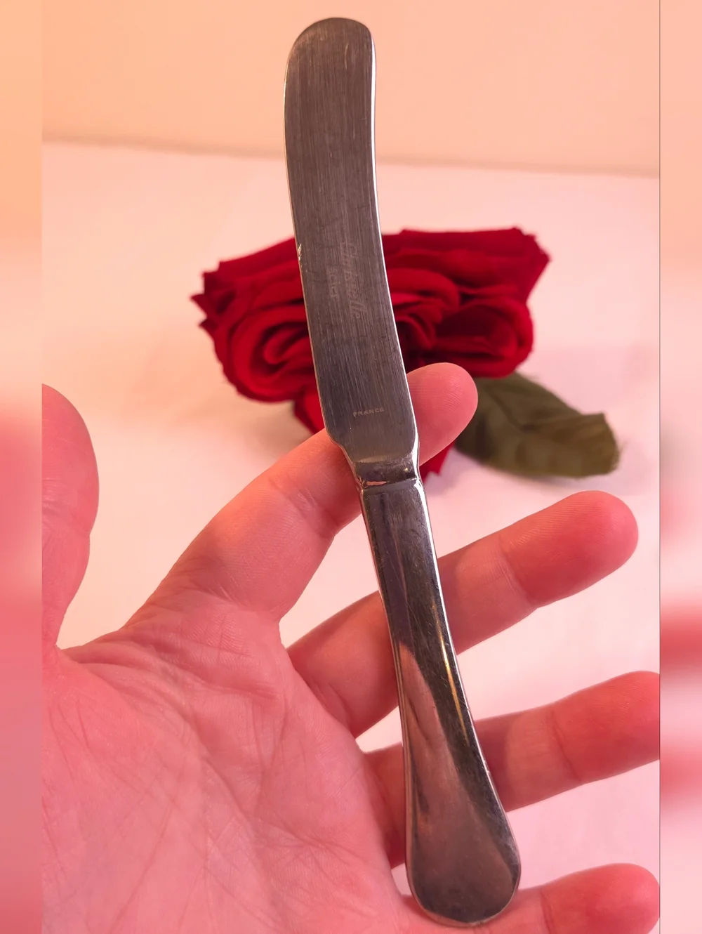 Vintage Silver Plated Christolfe Acier Butter Knife Spreader France 6.5