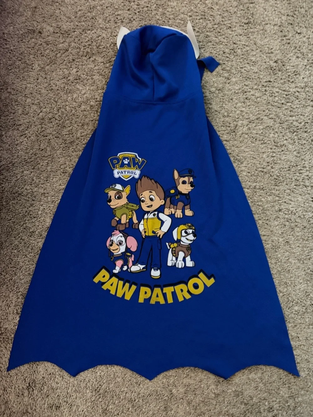 Paw Patrol bright blue