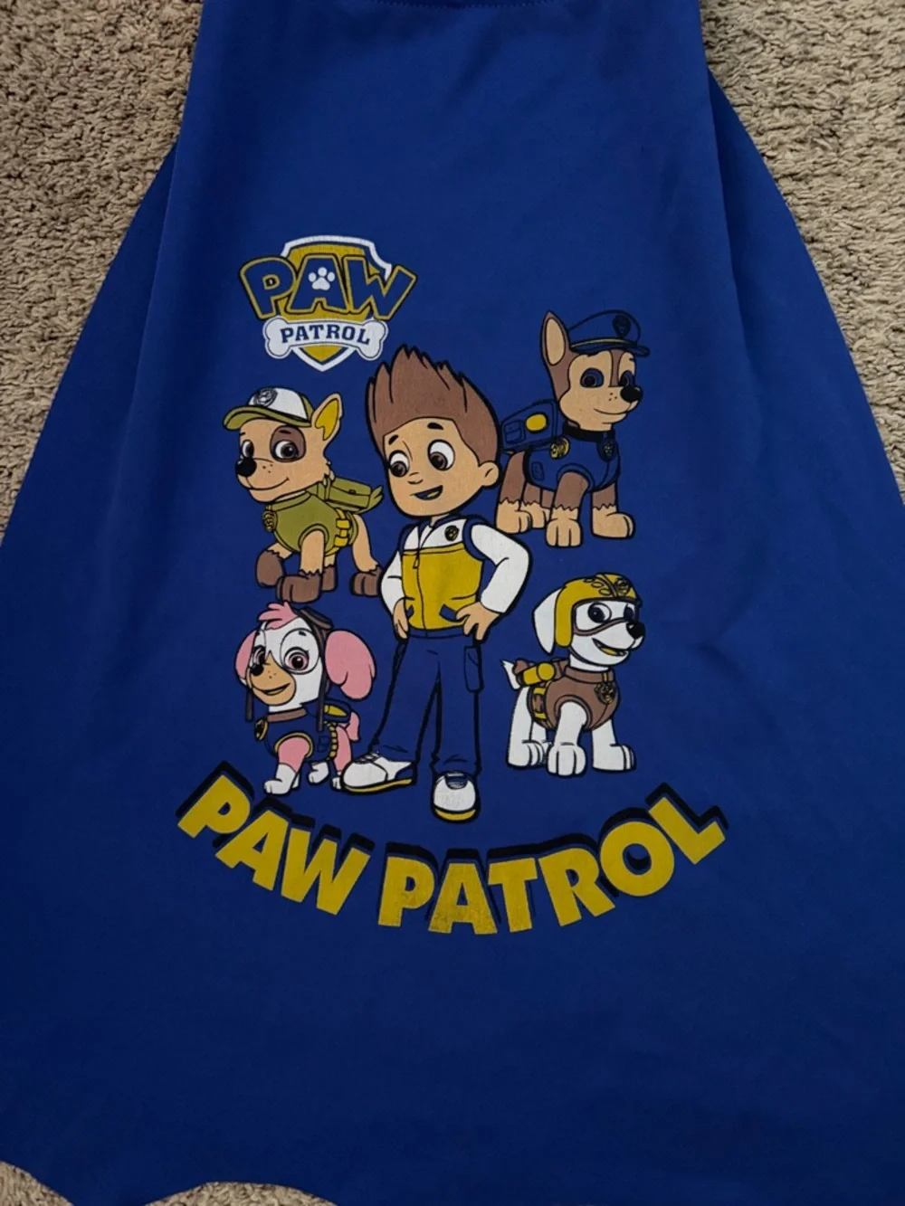 Paw Patrol bright blue