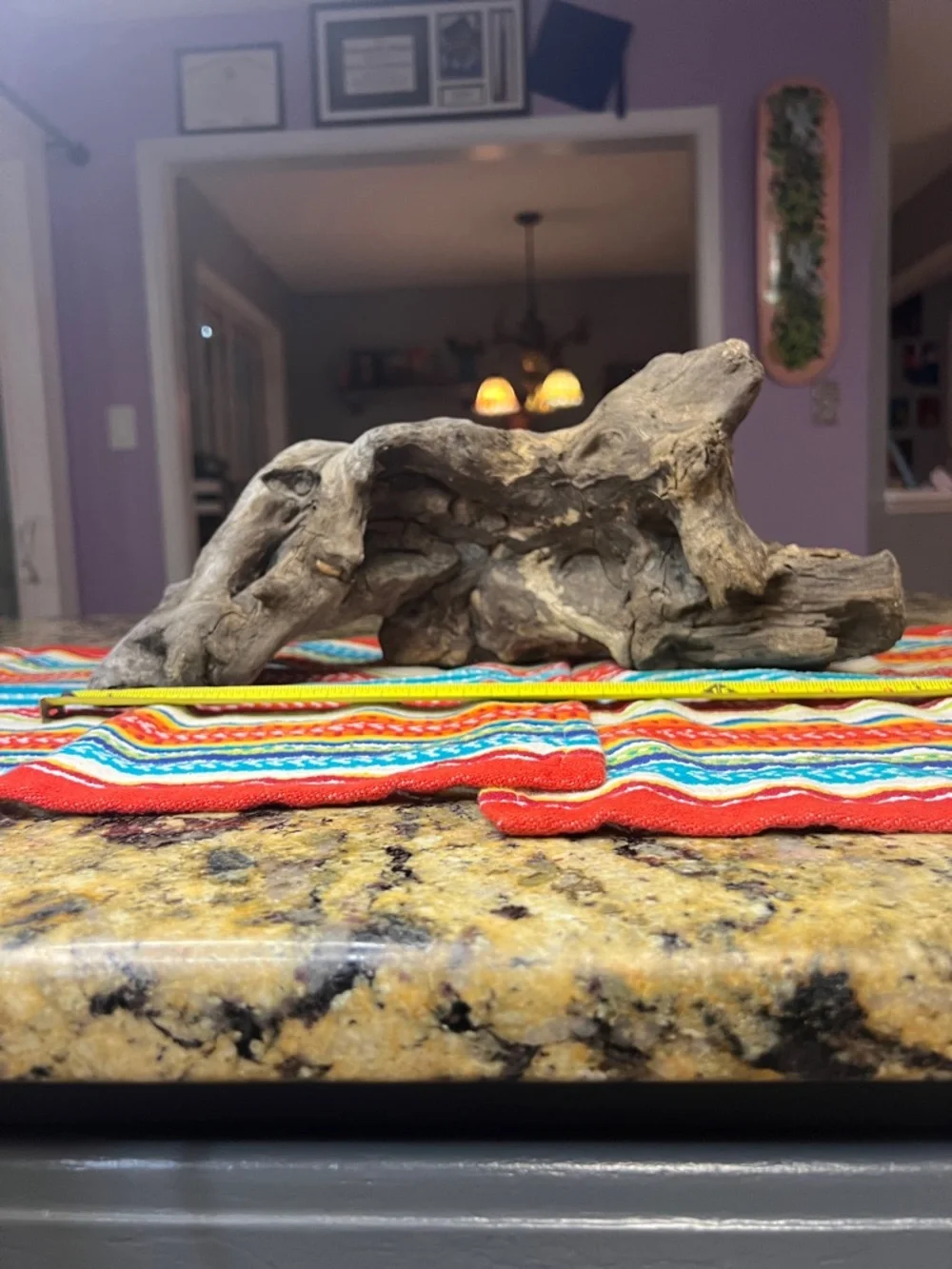 Natural Driftwood found on the James River Reptile Hide - Brown