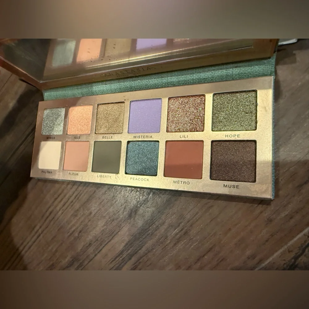 Anastasia Nouveau Palette Brand new never used