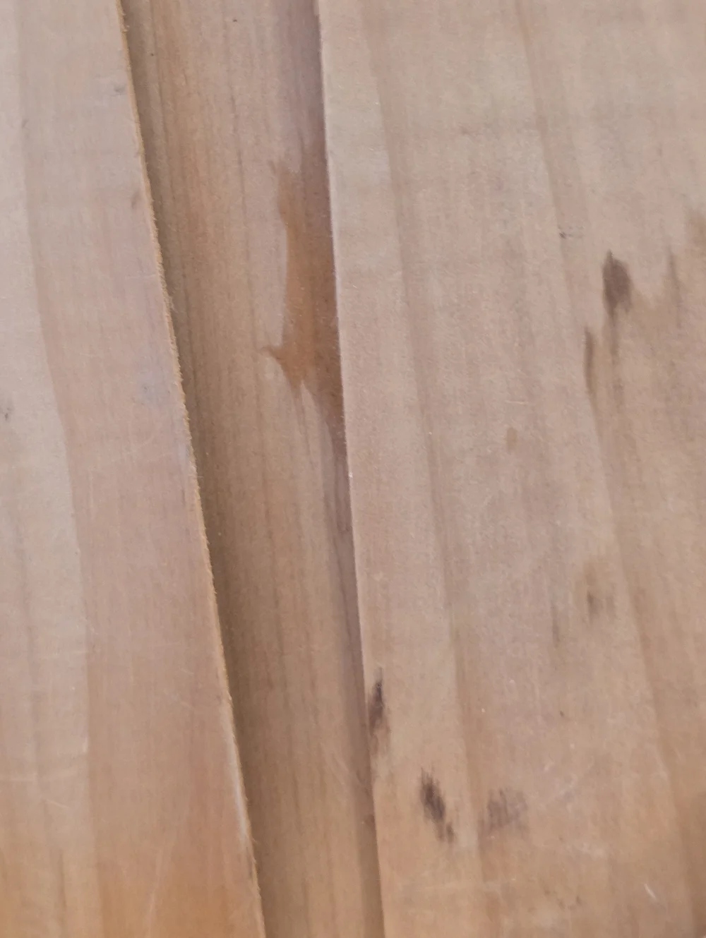 American Vintage this balsa
