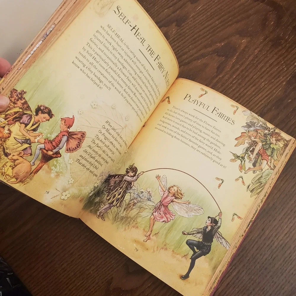 The Girls' Book of Flower Fairies by Barker, Cicely‎ Mary - Fairycore