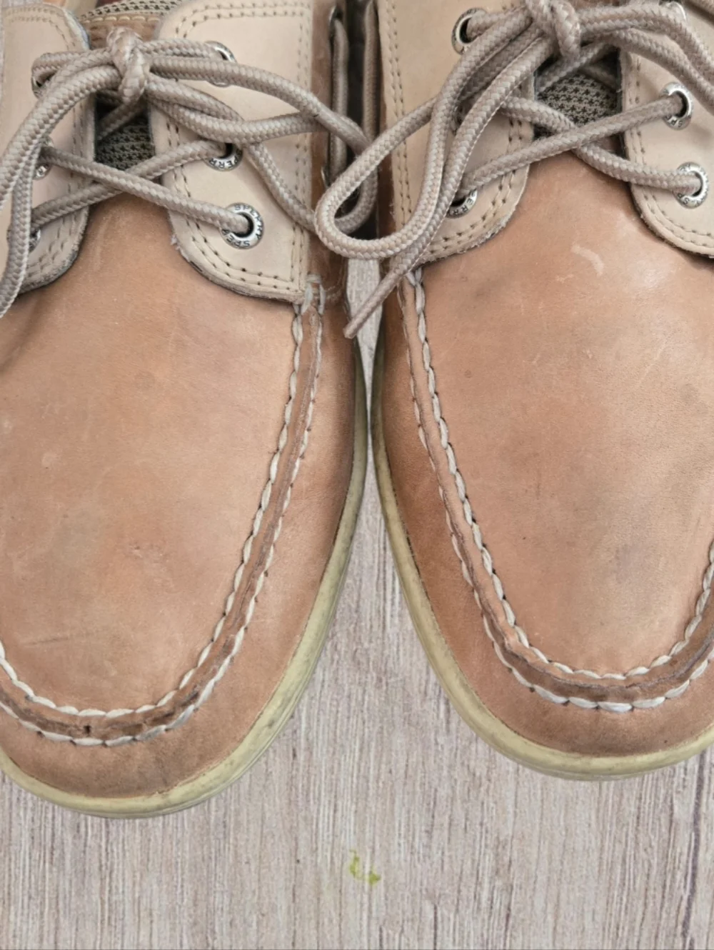 Sperry classic deck