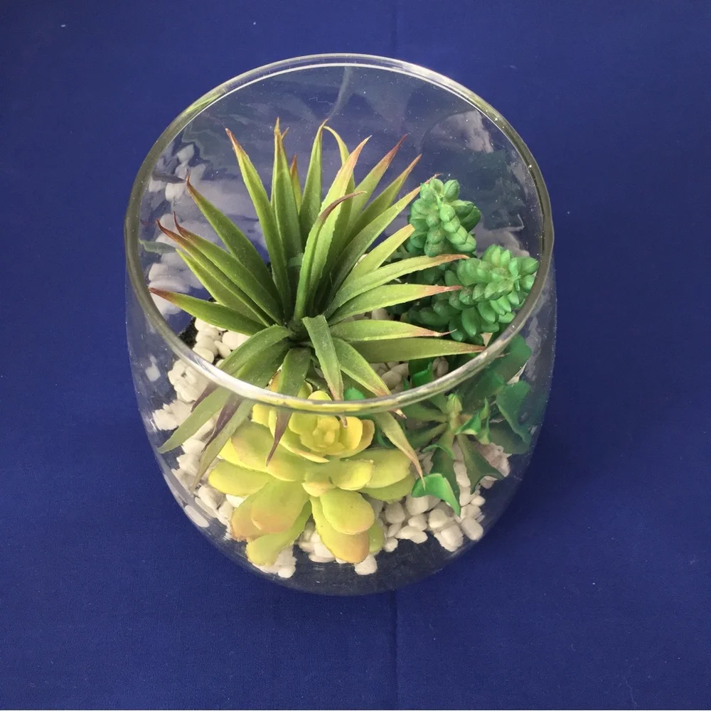 Glass Vase Tabletop Succulent Arrangement