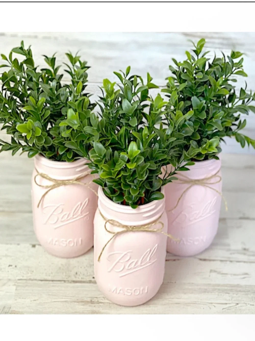 Light Pink Hand-Painted Mason Jar Planter 3 coastal collections (jars only!)