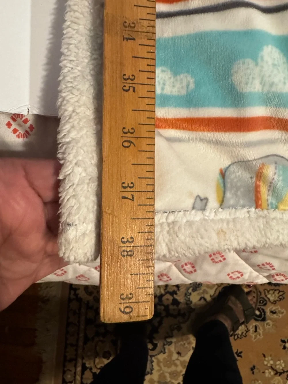 Little Celebrity measurements are