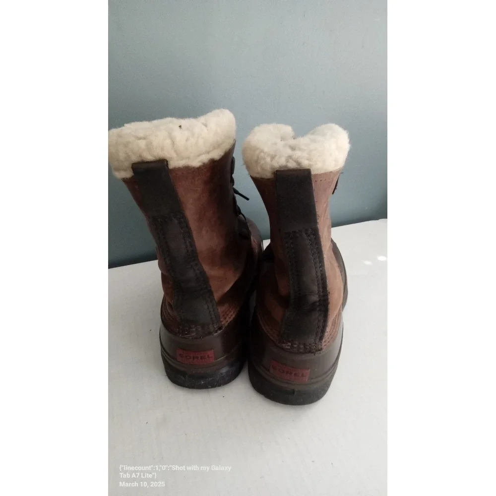 Sorel bighorn winter