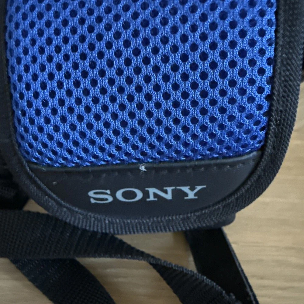 Sony soft carrying