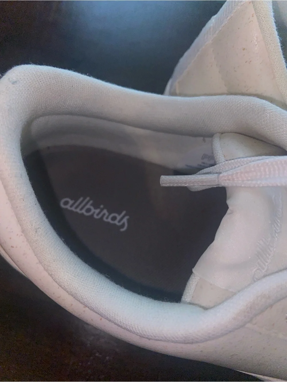 allbirds casual low