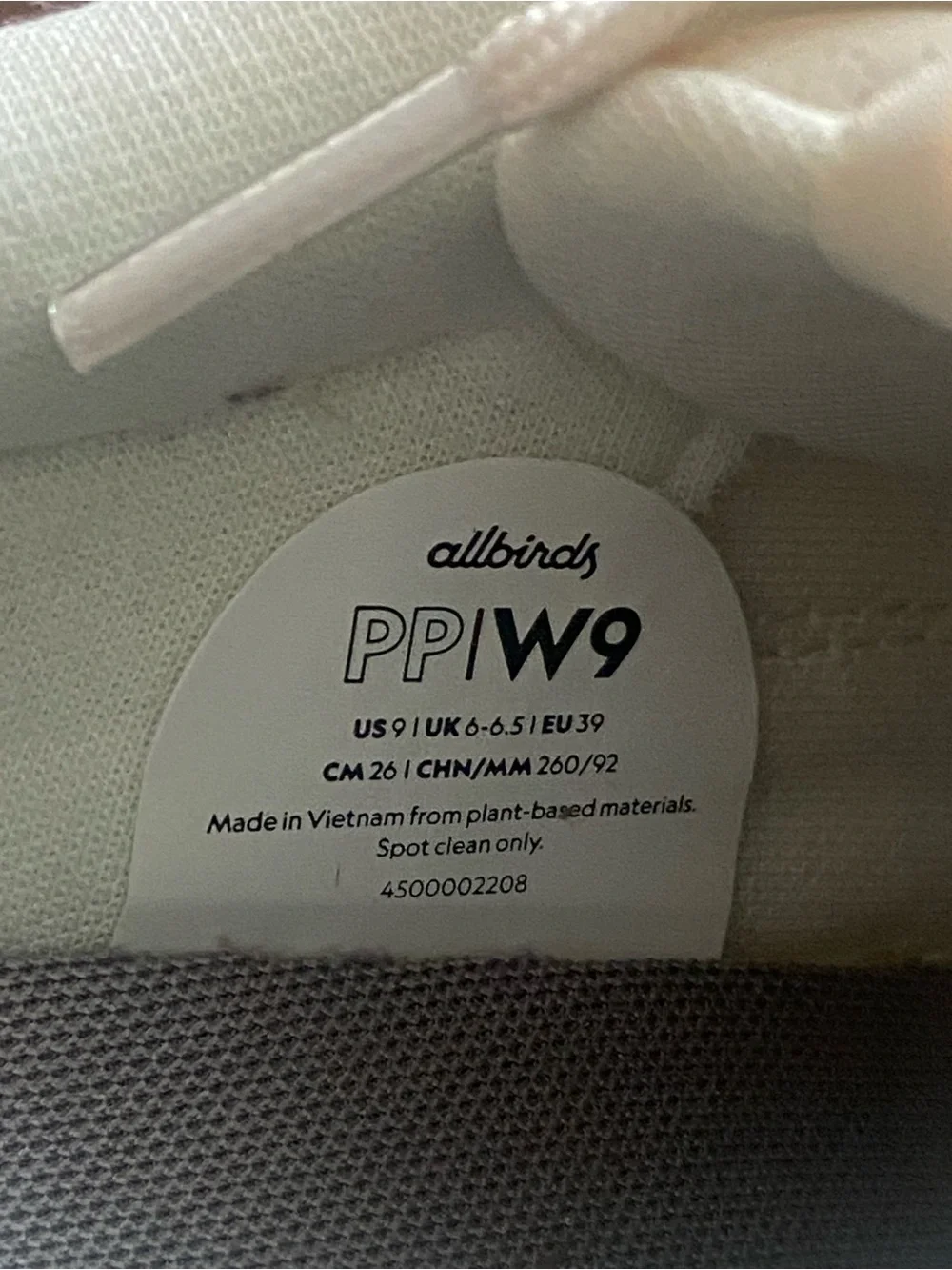 allbirds casual low