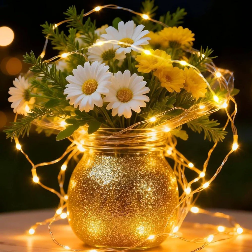 Warm White LED Fairy String Lights USB Powered with Remote 8 Modes Dimmable