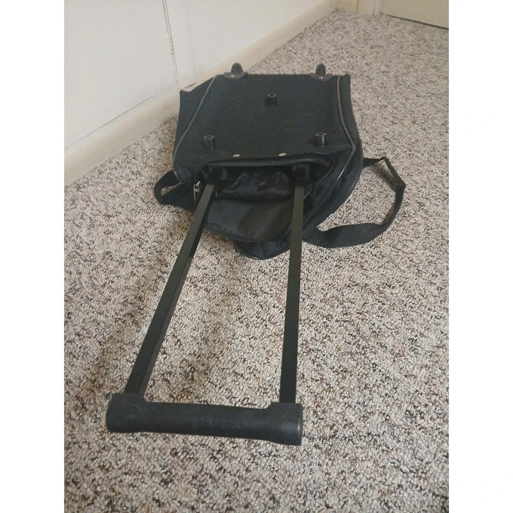 Disney amusement carrying very
