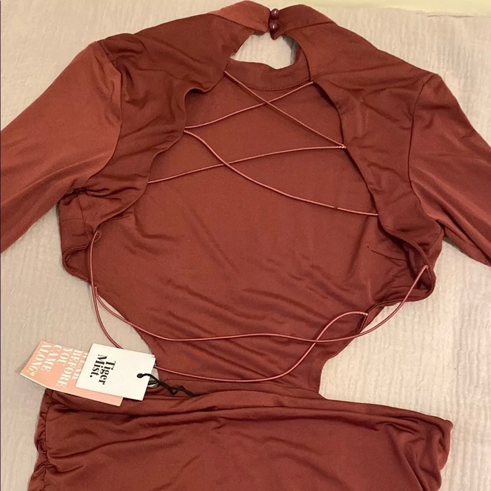 Tiger Mist Plum Kennedy Dress. Size L . New