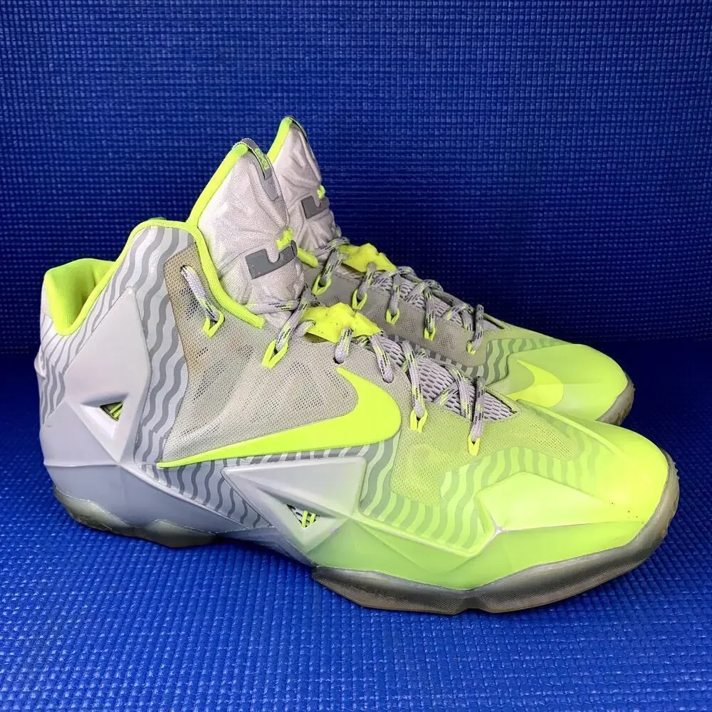 Nike X LeBron James size men`s