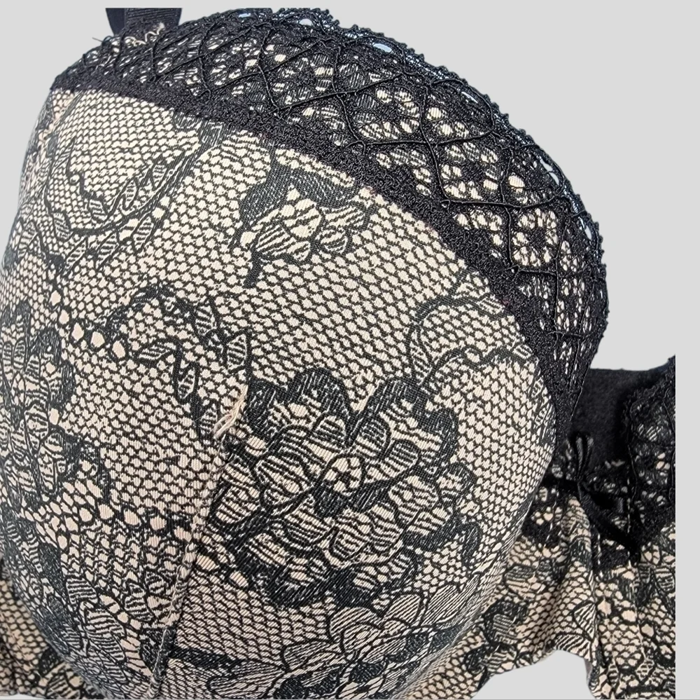 Dorina PRETTY Sexy Lace Bra Underwire padded 38C T29
