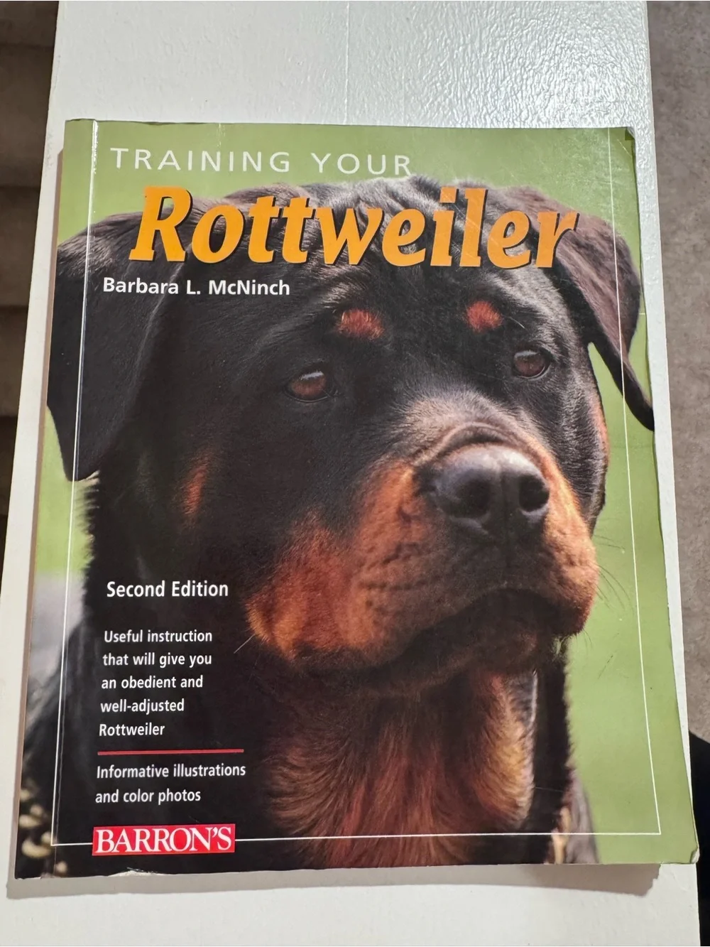Training Your Rottweiler