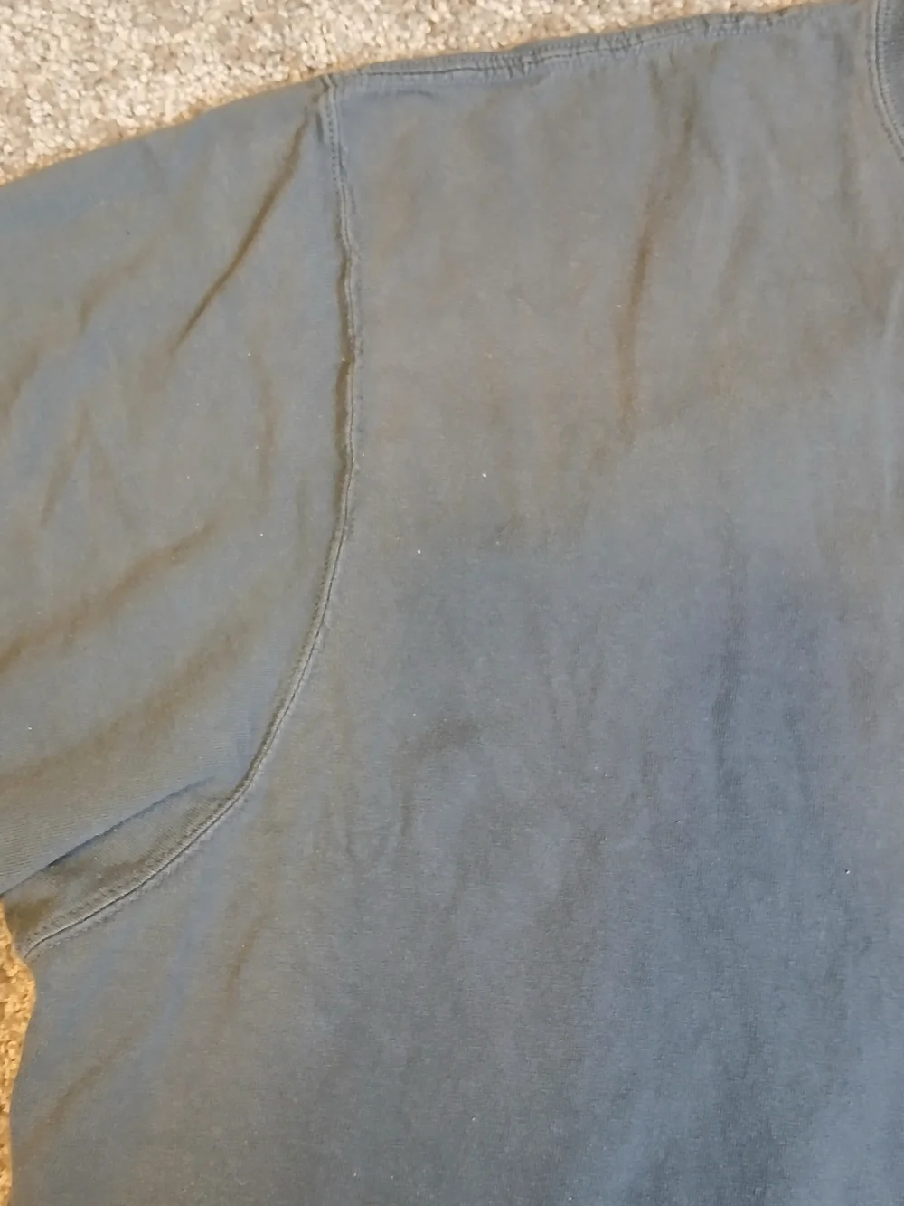Carhartt classic short