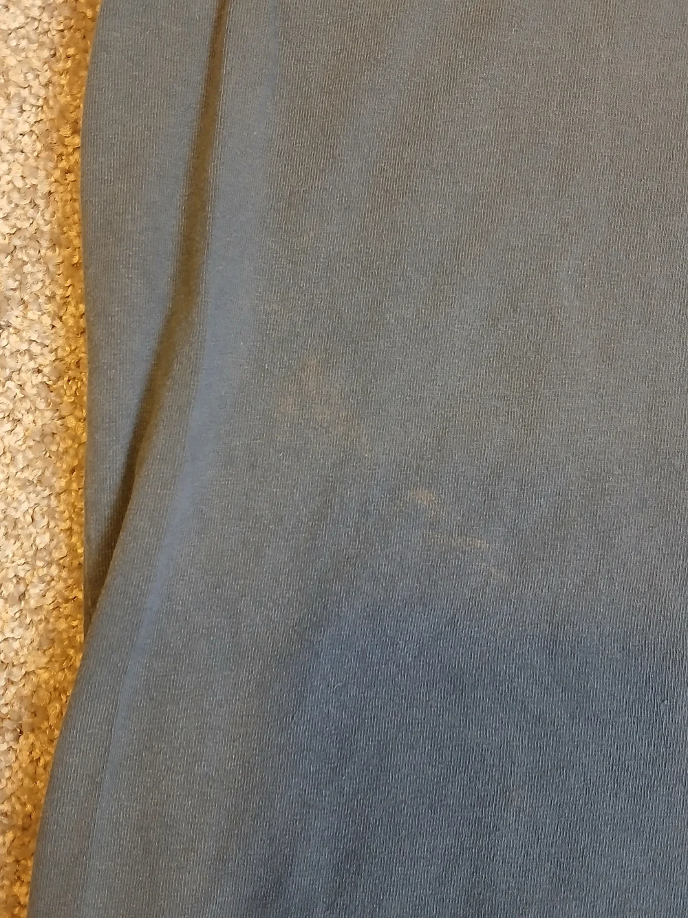 Carhartt classic short