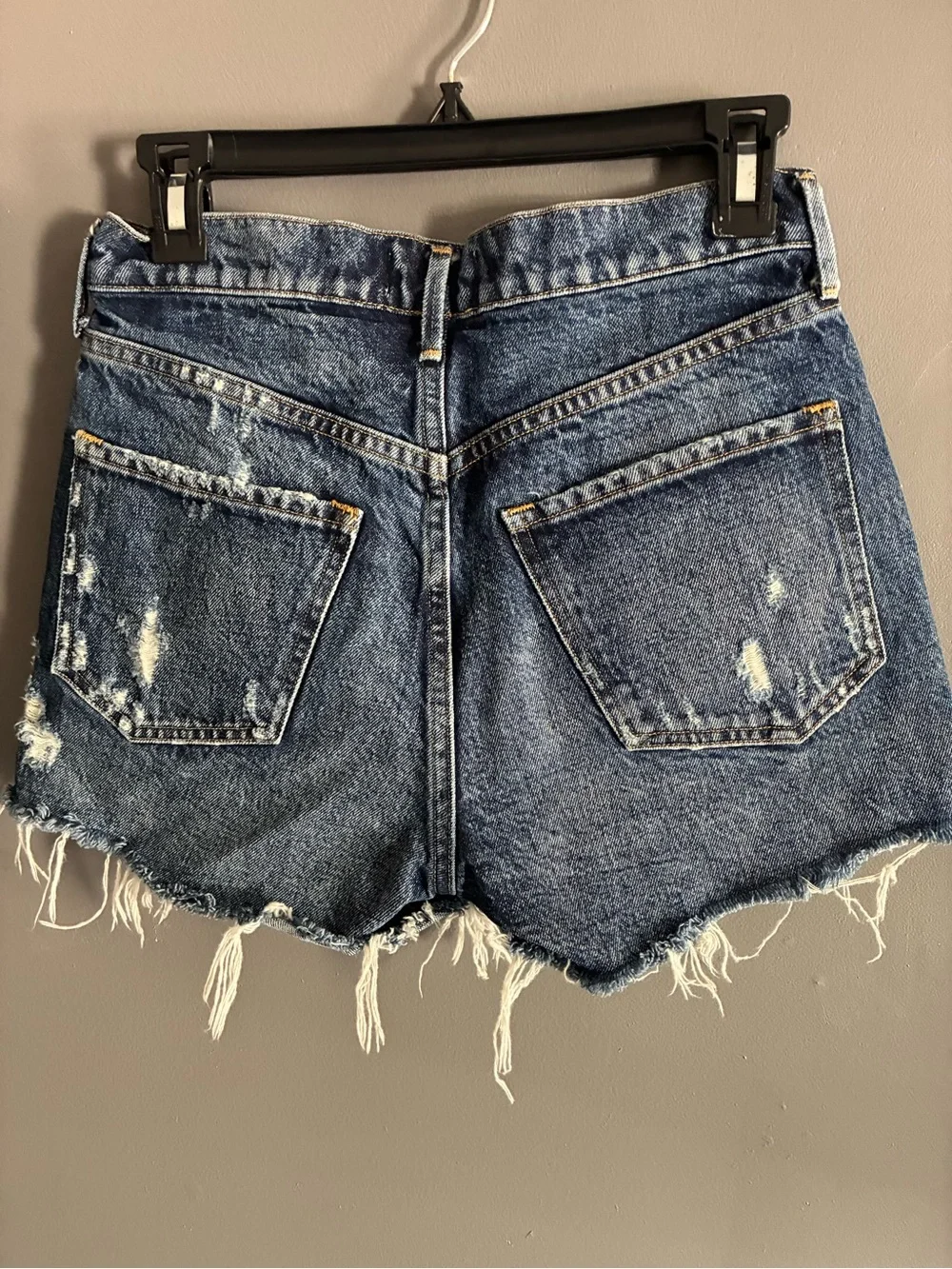 Agolde Parker Denim Cut-off Button Fly Shorts