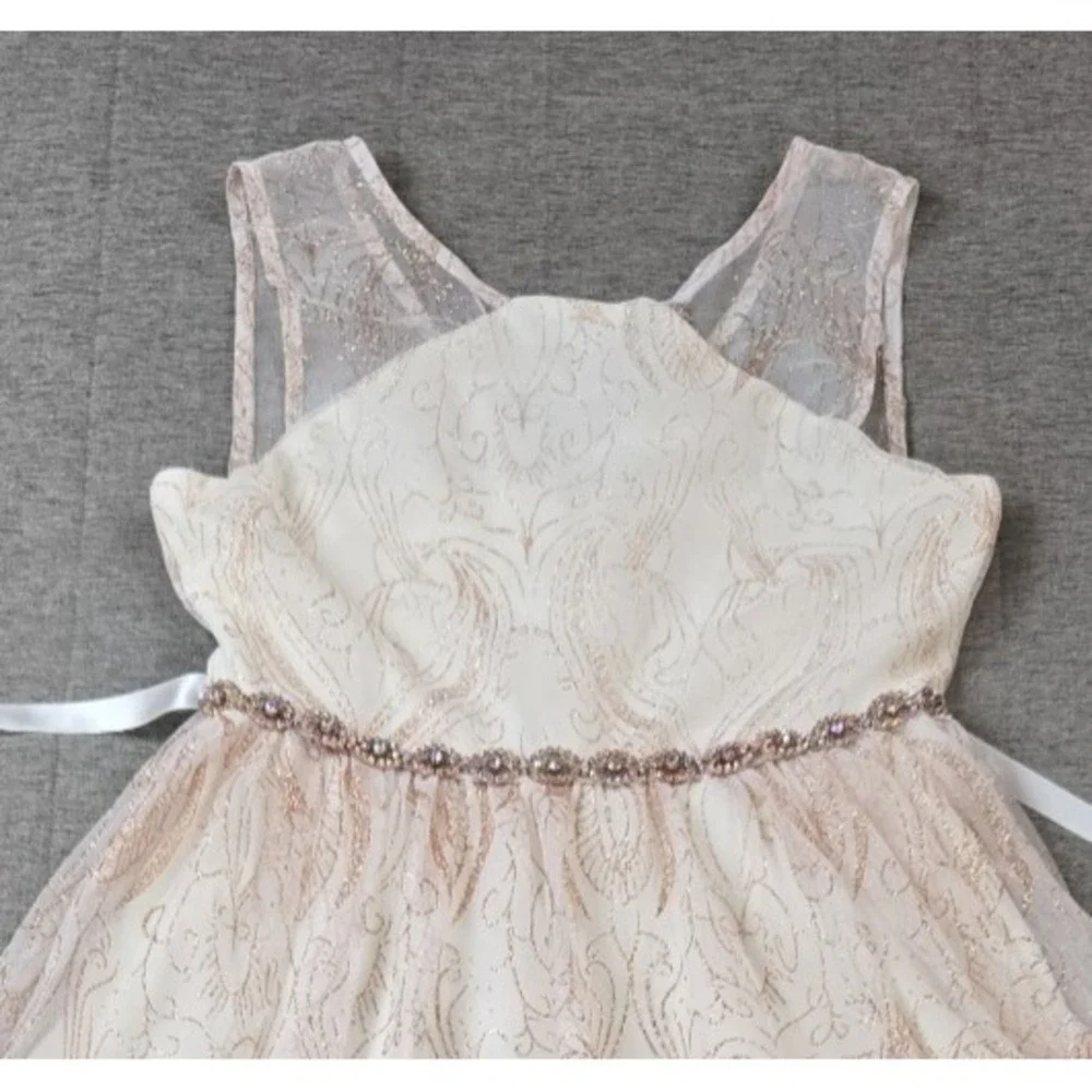 Rare Editions Girl's Dress Lined Tulle Skirt Jeweled Waist Holiday Nutcracker 12