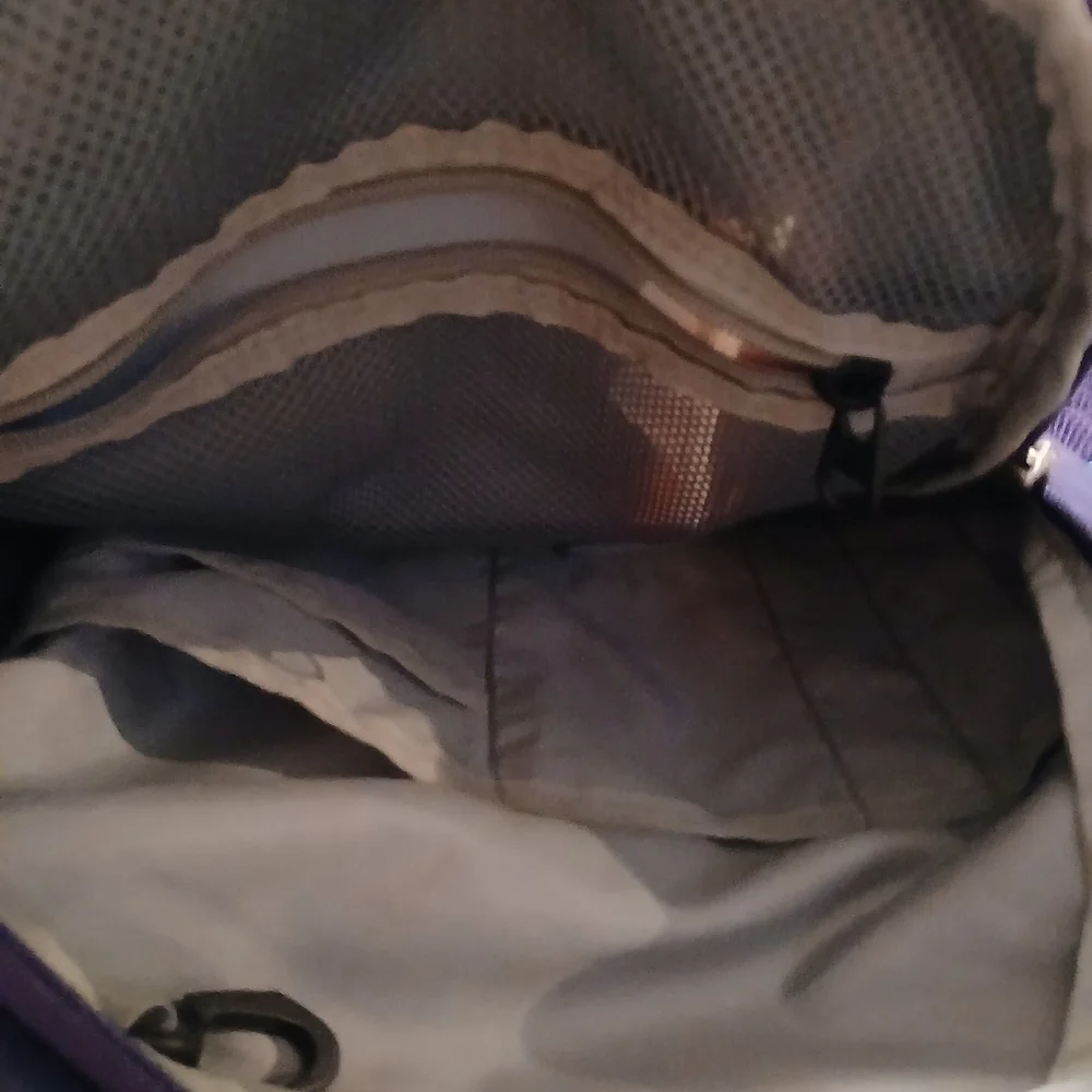Magellan Outdoors Blue and Purple Backpack with Structured Design. Very Nice!!