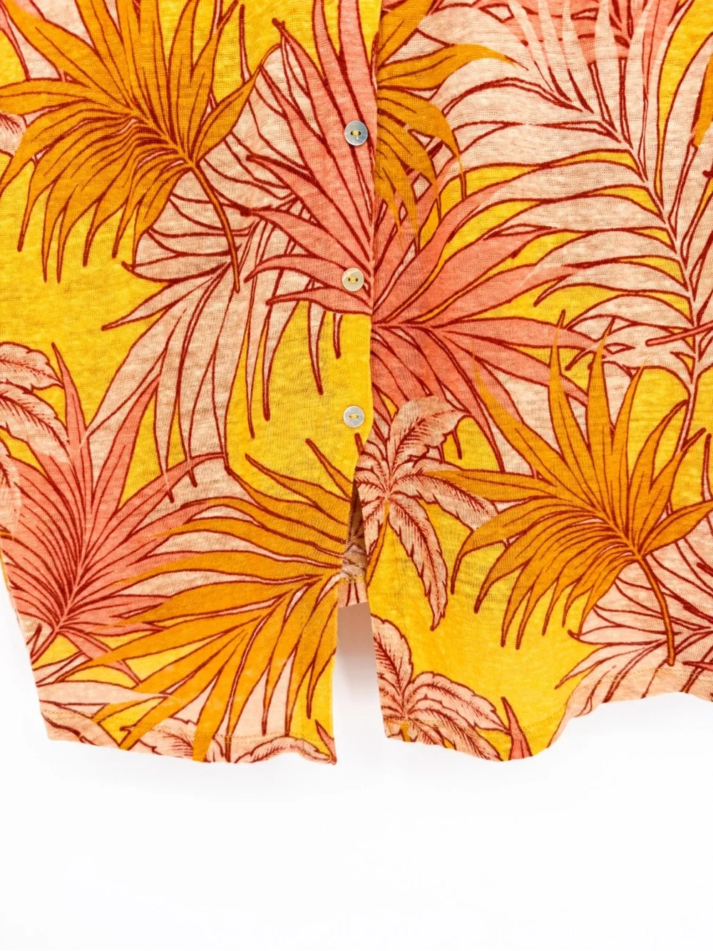 Tahari tropical palm
