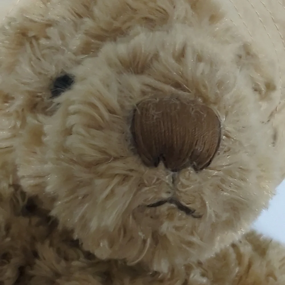 Burberry Bear 2006