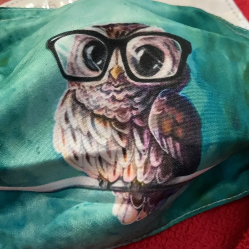 6/$20 New owl face mask