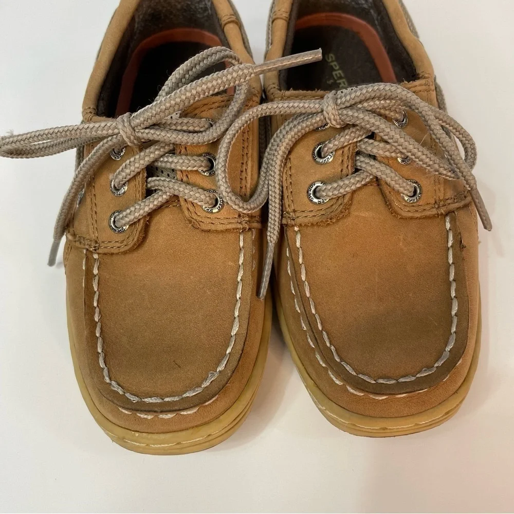 Sperry bill fish