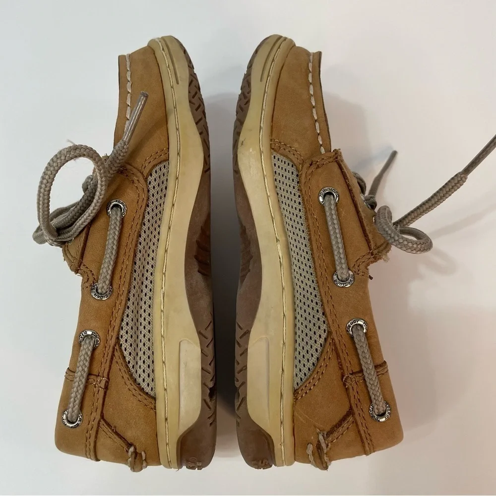 Sperry bill fish