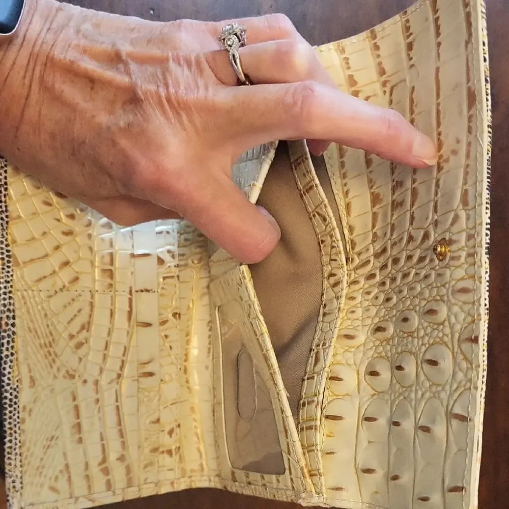 Brahmin this stylish