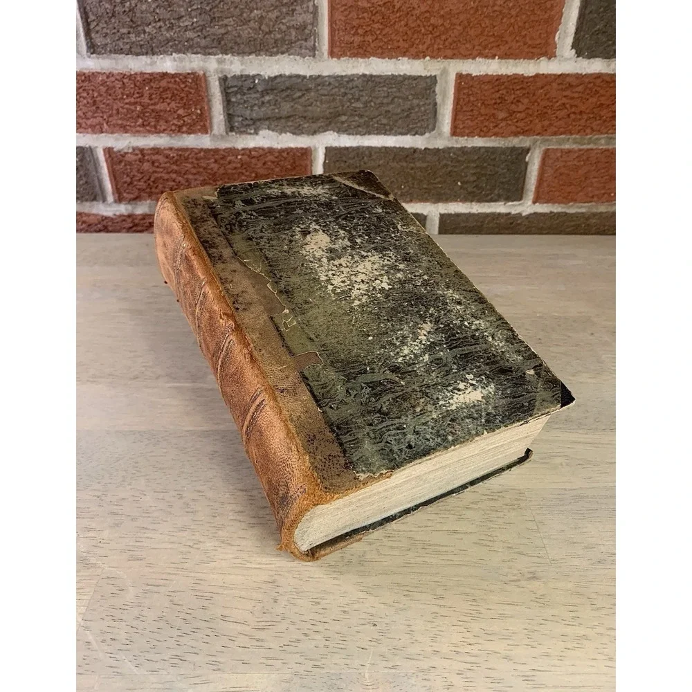 DieDeilige SchriftDesAtten und Meuen Celtamentes. (Old & New Testaments)‎