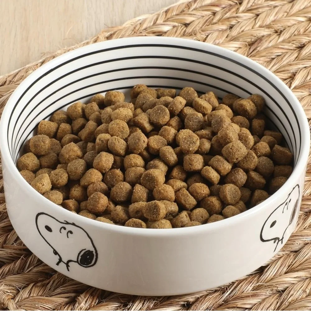 Peanuts white dog
