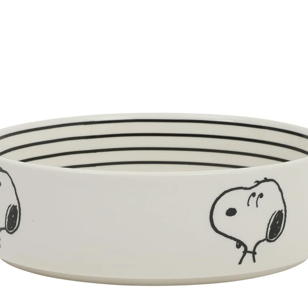 Peanuts white dog