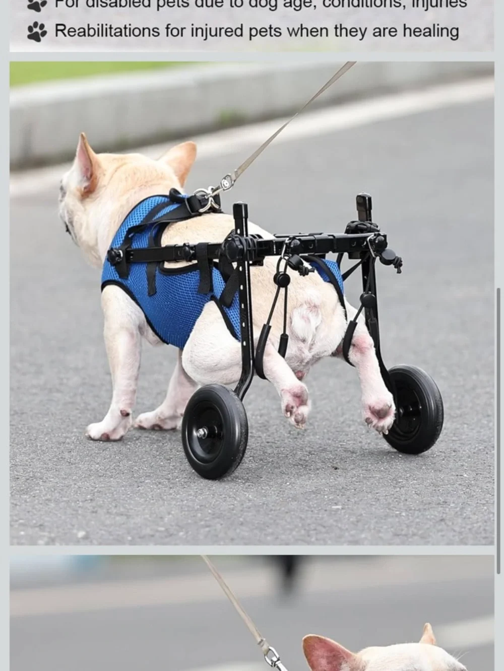 Adjustable Small Dog Wheelchair - Mobility Aid for Disabled Pets,x-Small Dog