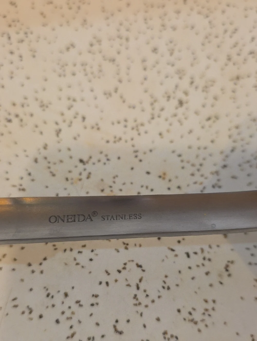 Oneida stainless steel
