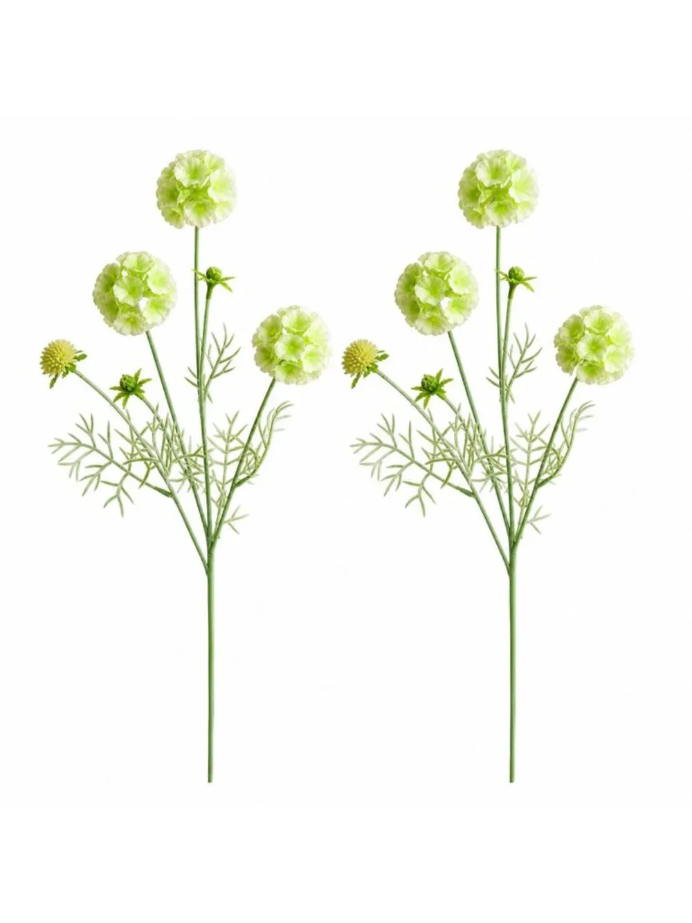 Scabiosa Flower Stems Green White Artificial Floral Filler
